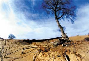 Environmental imagery